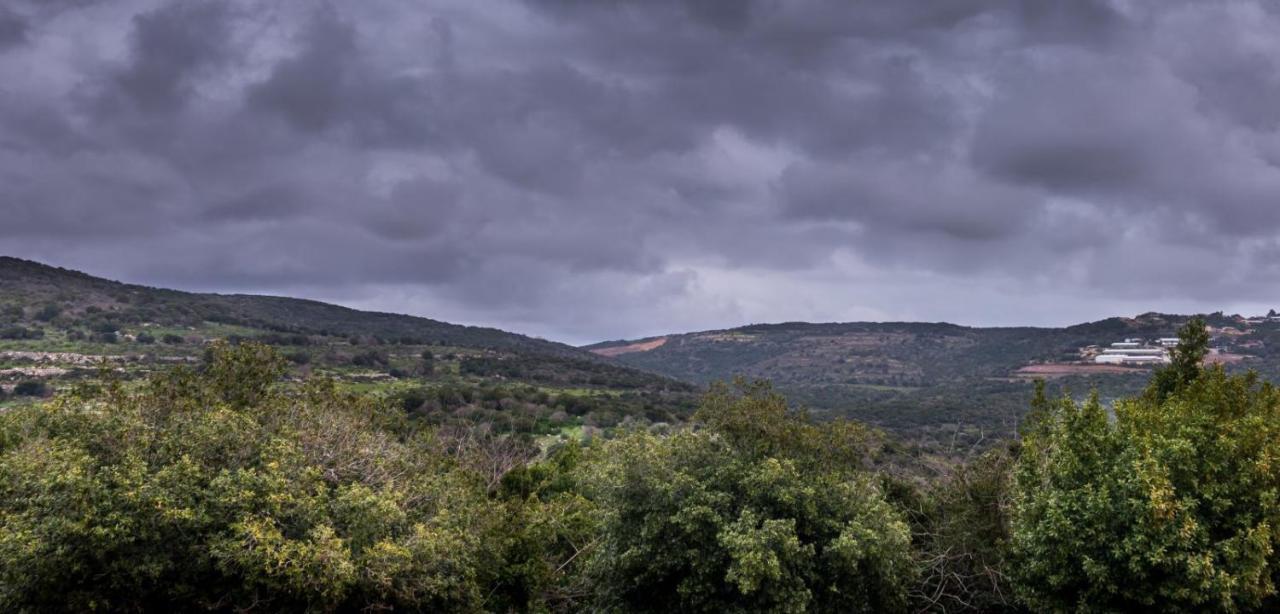 הוילה שומרה וילה שירה בשיר החורש מראה חיצוני תמונה
